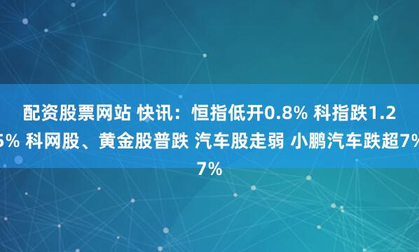 配资股票网站 快讯：恒指低开0.8% 科指跌1.25% 科网股、黄金股普跌 汽车股走弱 小鹏汽车跌超7%