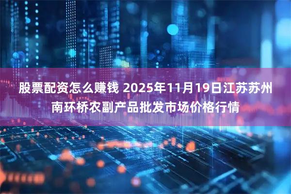 股票配资怎么赚钱 2025年11月19日江苏苏州南环桥农副产品批发市场价格行情