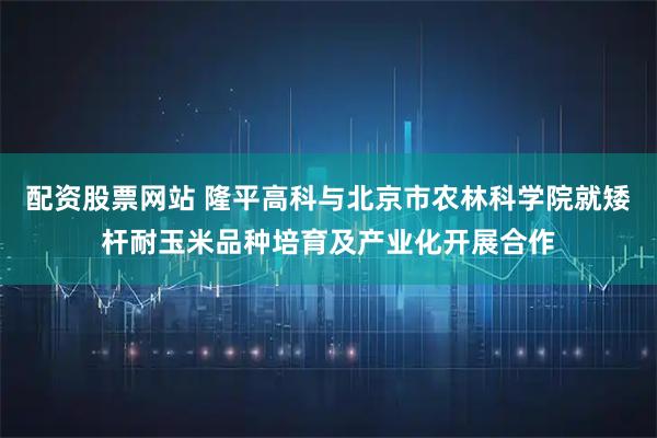 配资股票网站 隆平高科与北京市农林科学院就矮杆耐玉米品种培育及产业化开展合作